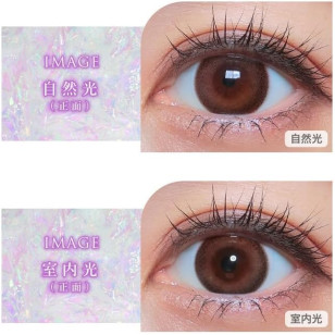 COLOR MAJORITY 1Day Fairy Ring カラーマジョリティー フェアリーリング